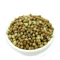 semillas de cáñamo de gran tamaño para bombardear o aceite (3.5-5.0mm, 5.0mm +)
